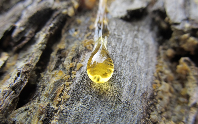 Trementina125ml
